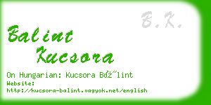 balint kucsora business card